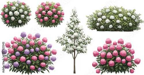 Beautiful blooming shrubs and flowering tree botanical vector illustration featuring vibrant garden plants, seasonal blossoms, lush foliage elements for landscape design projects