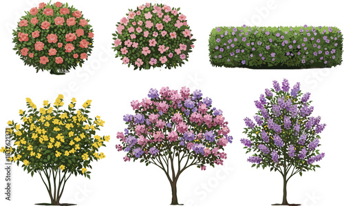 Beautiful flowering shrubs and decorative garden trees vector illustration with colorful blossoms, lush foliage plants, landscape elements for spring botanical design projects