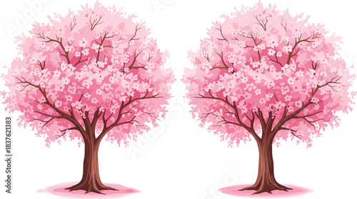Beautiful pink cherry blossom trees illustration featuring vibrant spring flowers, detailed branches, and decorative nature elements for landscape design and seasonal artwork