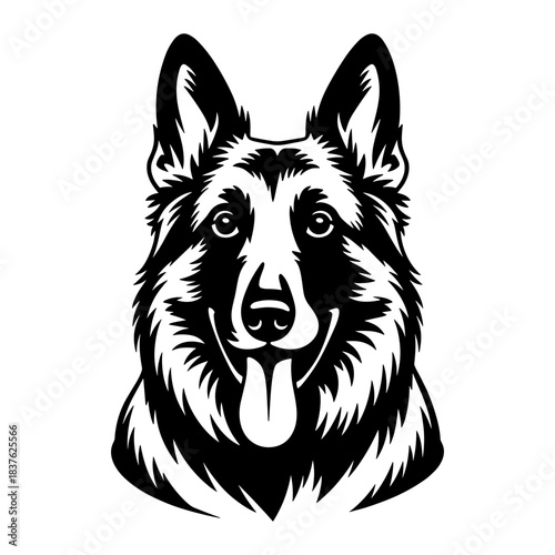 Belgian Shepherd Dog