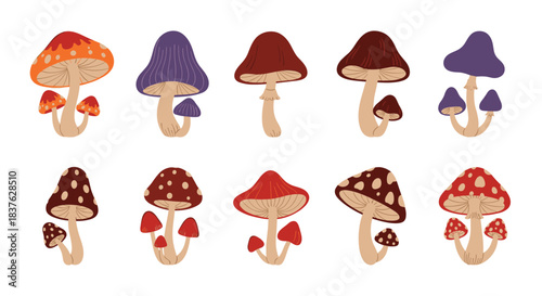 Set of ten stylized fantasy mushrooms in various colors and shapes, perfect for creating magical forest or fairytale illustrations.