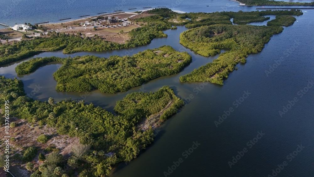Fototapeta premium mangrove forests and nature preserve in Apollo Beach, Florida