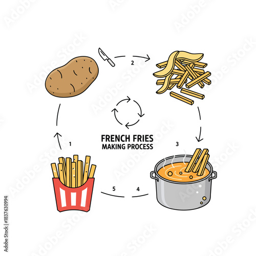 Illustrated step-by-step guide showing the process of making delicious French fries from raw potatoes.