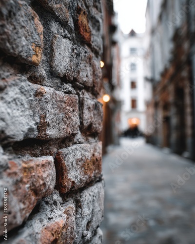 A detailed close-up of brick texture with a softly blurred urban background.