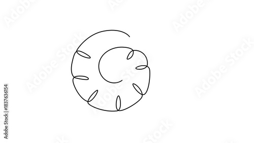 Continuous Line Art Animation Of Minimalist Spiral Snail Shell. 
