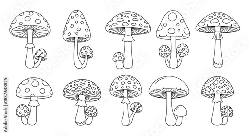 A set of ten different toadstool mushroom illustrations in a black and white line art style perfect for a coloring page.