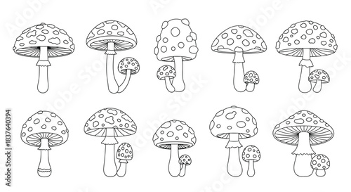 A set of black and white line art illustrations of amanita muscaria mushrooms for a coloring book page or botanical designs.