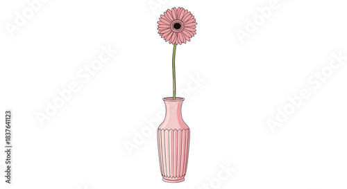 A single elegant pink gerbera daisy flower with a long stem inside a tall decorative pink glass vase on a white background.