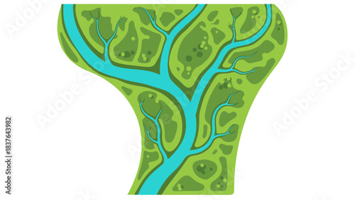 An overhead stylized vector illustration of a winding river cutting through green land, forming a river delta