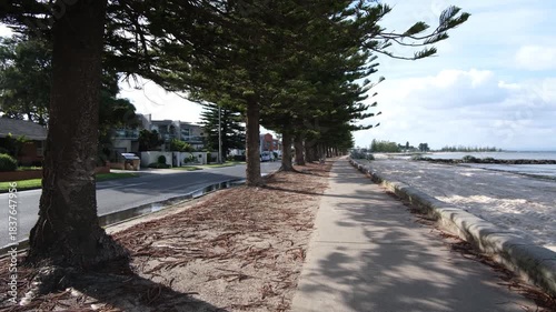 Coastal pedestrian walkway lined with tall pine trees beside a suburban road in Altona, Melbourne, Australia. Concept of seaside walking path, coastal homes, urban waterfront access.