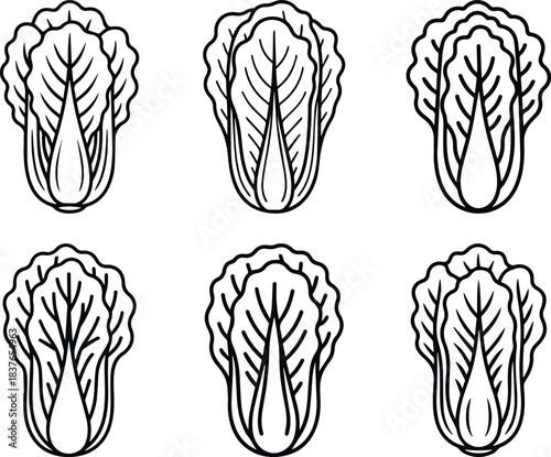 Set of Chinese cabbage outline icon vector line art. Simple napa vegetable food sketch symbol.