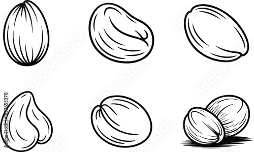 Mixed Nut Vector Icons in Hand Drawn Style