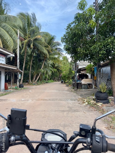 Palm Trees and Tropical Jungle in Ko Lanta Thailand – Lush Island Nature, Krabi Province, Southeast Asia Coastal Landscape