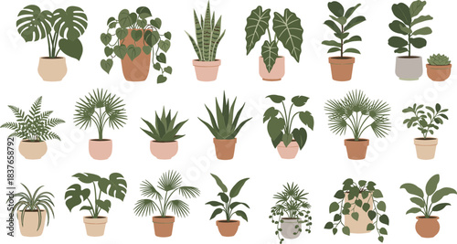 Large Vector Collection of Trendy Potted Indoor Houseplants, Featuring Tropical Foliage for Home Decor, Green Living, and Urban Jungle Style