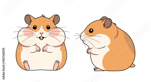 Two adorable illustrations of a cute chubby golden hamster with full cheeks shown from a front view and a side profile view.