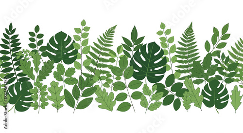 Flat vector illustration of a seamless border pattern composed of various green foliage and tropical leaves, symbolizing nature and growth