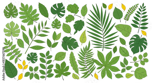 A vibrant and diverse flat vector collection of various green botanical leaves, perfect for natural design elements and tropical patterns, offering a fresh aesthetic