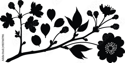 A delicate black silhouette of a flowering branch with blossoms and leaves