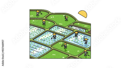 Rice paddy terraces under sun, farmers cultivating with tools. Asian conical hats on. Linear graphic illustration