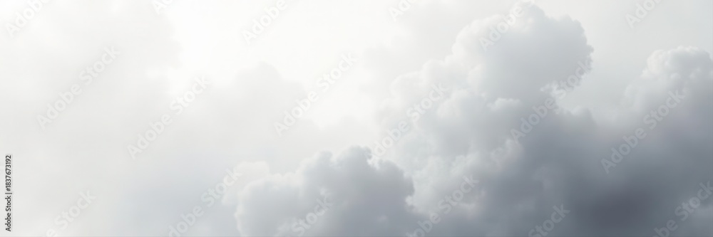 Obraz premium Soft, hazy grey tones blend into white, creating an airy abstract , white, backdrop, website