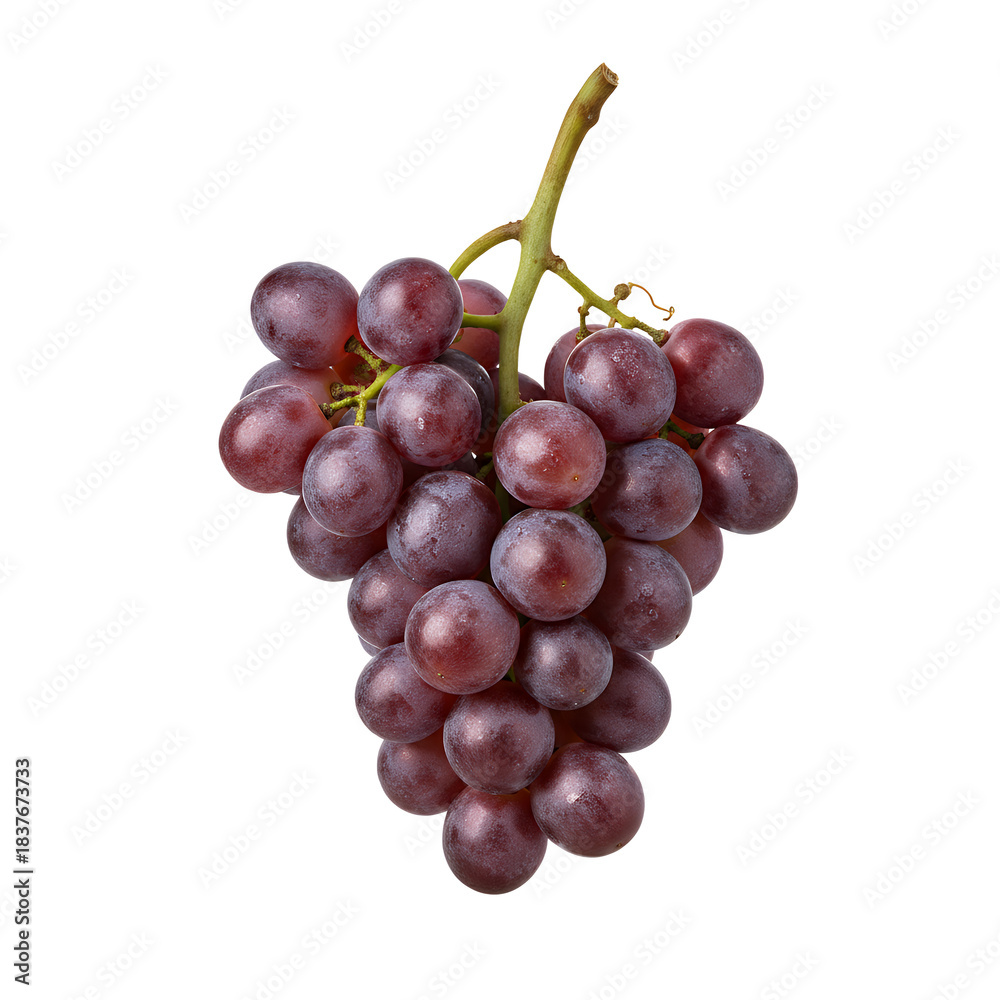 Fototapeta premium 赤いブドウの房