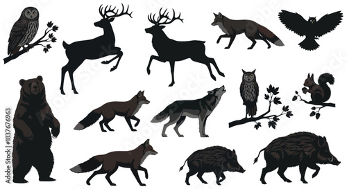 Collection of forest animals including deer, foxes, bears, wolves, owls, squirrels, and wild boars, rendered in silhouette and detailed illustrations