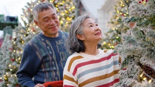 Elderly asian couple embraces near a beautifully decorated Christmas tree. The husband places a warm scarf around his wife, filling the air with love and festive cheer as they share joyful smiles.
