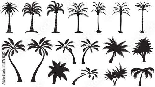 Collection of diverse black and white palm tree silhouettes perfect for tropical vacation design projects