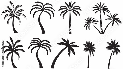 Collection of diverse black and white palm tree silhouettes perfect for tropical design projects and summer themes