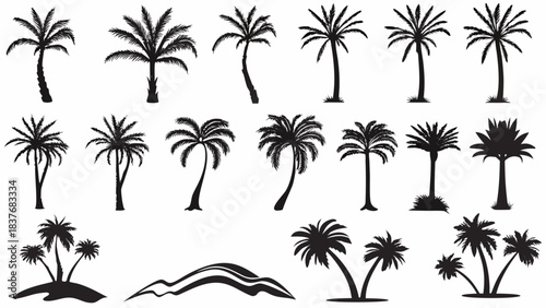 Collection of various black silhouette palm tree icons perfect for tropical design projects and beach themes