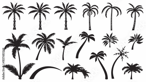 Collection of various black and white palm tree silhouettes perfect for tropical design elements