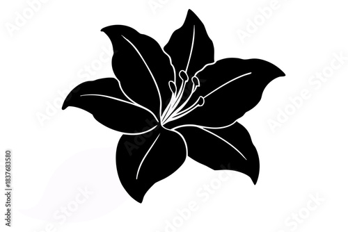 Azalea flower silhouette vector, Azalea black symbol
