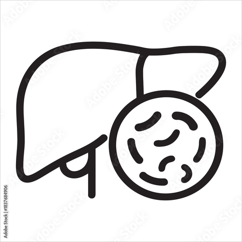 Human Liver Anatomy Icon with Microscopic View or Cirrhosis Disease Medical Illustration