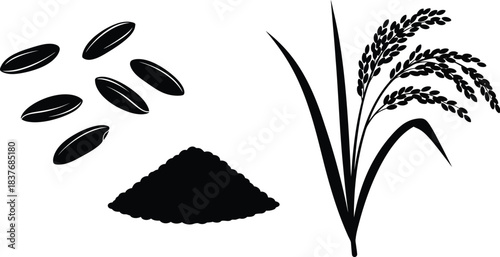 Black rice grains pile and plant illustration on transparent background silhouette