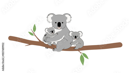 Adorable koala family illustration: mother and two joeys on a tree branch