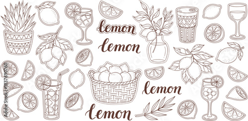 Lemon Still Life: A refreshing collection of lemons and drinks presented in an eye-pleasing arrangement, inviting you to experience the zest of summer.