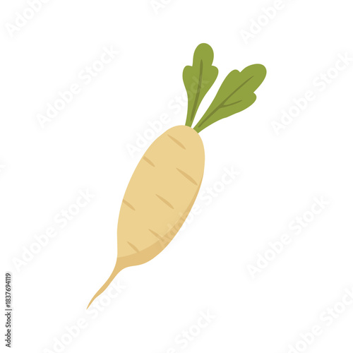 vector illustration of a radish with green leaf