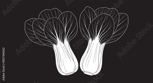 Two heads of fresh bok choy are illustrated in a minimalist white line art style on a solid black background for a modern look.