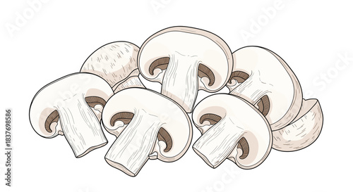A pile of freshly sliced champignon mushrooms is illustrated in a detailed hand-drawn vintage engraving style for culinary designs.