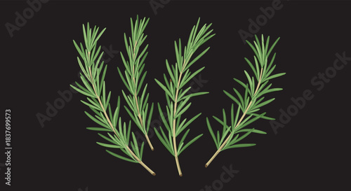 Four fresh green rosemary sprigs with detailed leaves and stems arranged neatly on a solid dark gray background for culinary use.