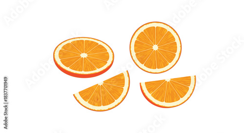 Set of fresh orange slices including round cross-sections and wedges in a simple vector illustration on a white background.
