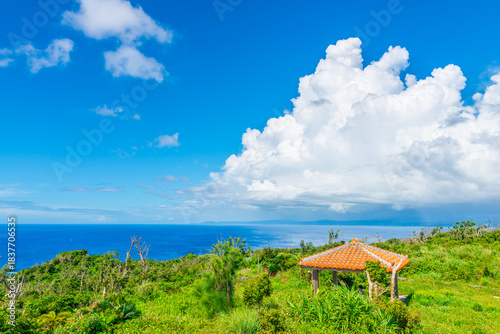 沖縄の海と夏雲