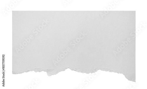 Wallpaper Mural White ripped paper isolated on transparent background. Ideal for use in design templates Torontodigital.ca