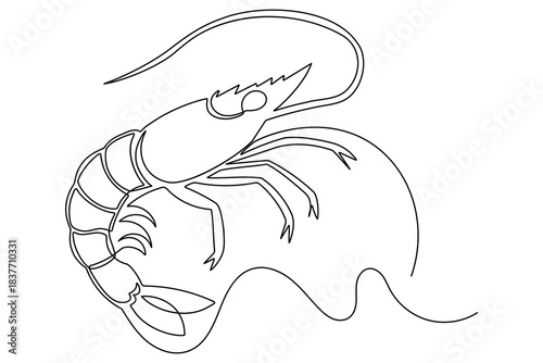 Delicious shrimp ocean food animal single line art outline minimal