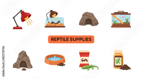 Essential Equipment and Accessories for Reptile Care A Comprehensive Collection of Supplies for Pet Owners to Create an Ideal Habitat