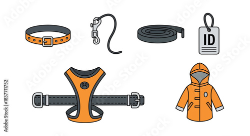 Essential Dog Walking Accessories Collar, Leash, Harness, ID Tag, and Coat for Pet Safety and Outdoor Adventures