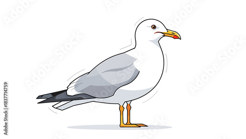 Cartoon illustration of a white seagull standing on one leg, with a slightly open beak and yellow feet, depicted against a white background