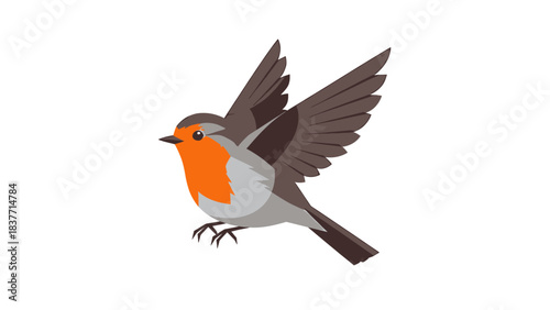 A small red-breasted robin bird flying with its wings spread wide against a white background, depicted in a simple illustration style