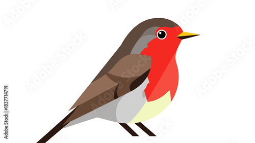 Charming European Robin with Bright Red Breast Illustration - A Detailed Portrait of a Small Songbird