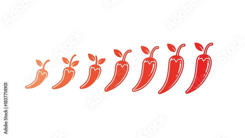 A row of seven chili peppers, gradually increasing in size and color intensity from light orange to deep red, representing a scale of spiciness.